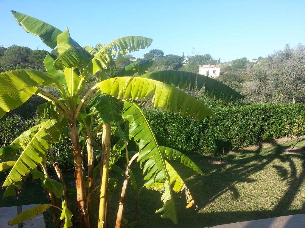 Casa Cereja 'Adults Only' Bed and Breakfast Albufeira Zewnętrze zdjęcie