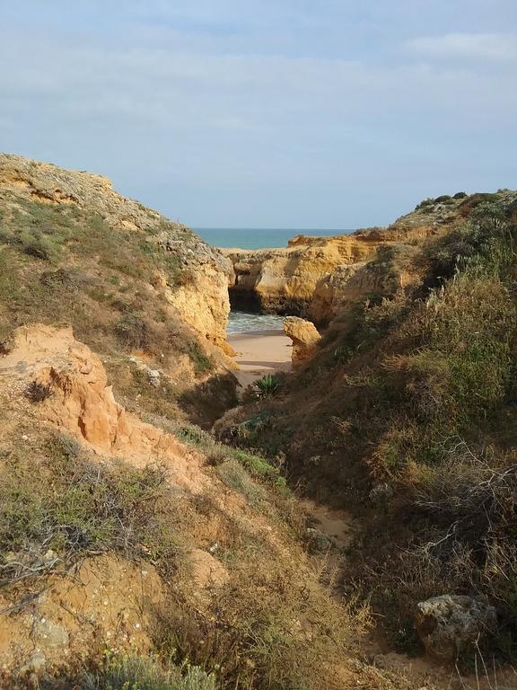 Casa Cereja 'Adults Only' Bed and Breakfast Albufeira Zewnętrze zdjęcie