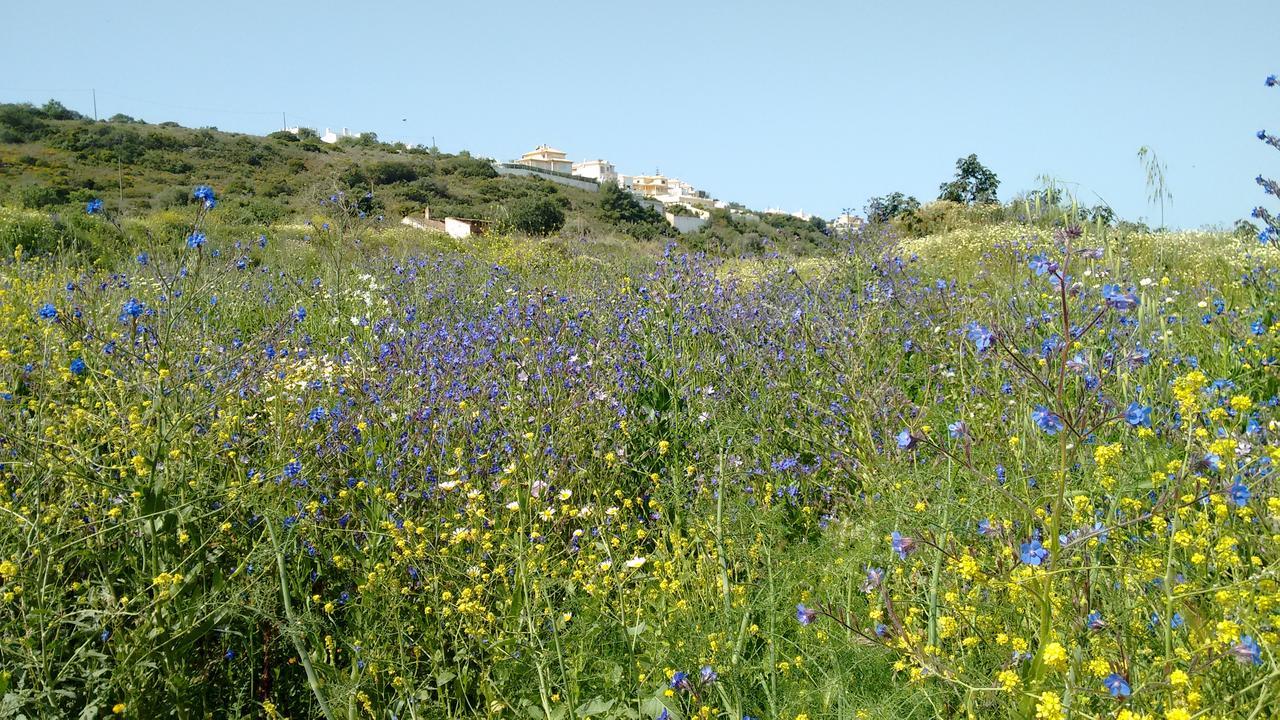 Casa Cereja 'Adults Only' Bed and Breakfast Albufeira Zewnętrze zdjęcie