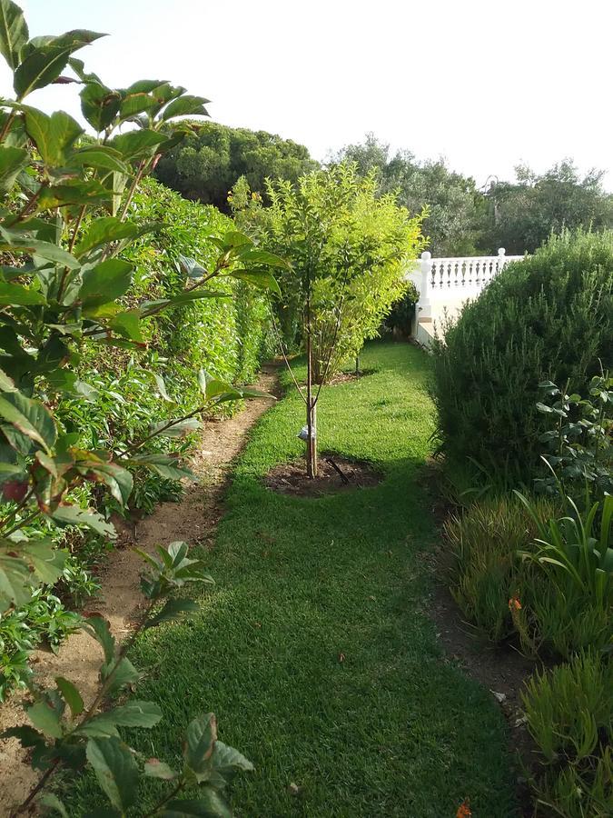 Casa Cereja 'Adults Only' Bed and Breakfast Albufeira Zewnętrze zdjęcie