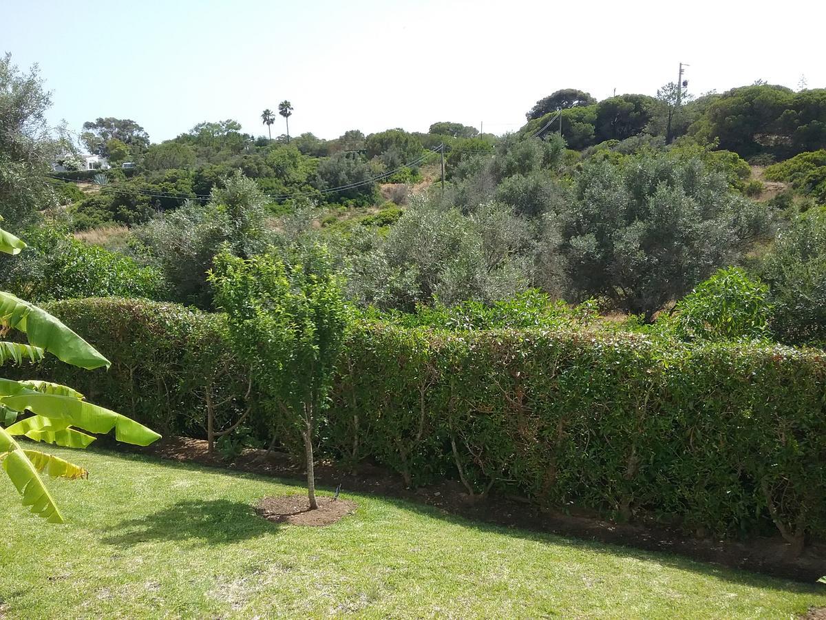 Casa Cereja 'Adults Only' Bed and Breakfast Albufeira Zewnętrze zdjęcie